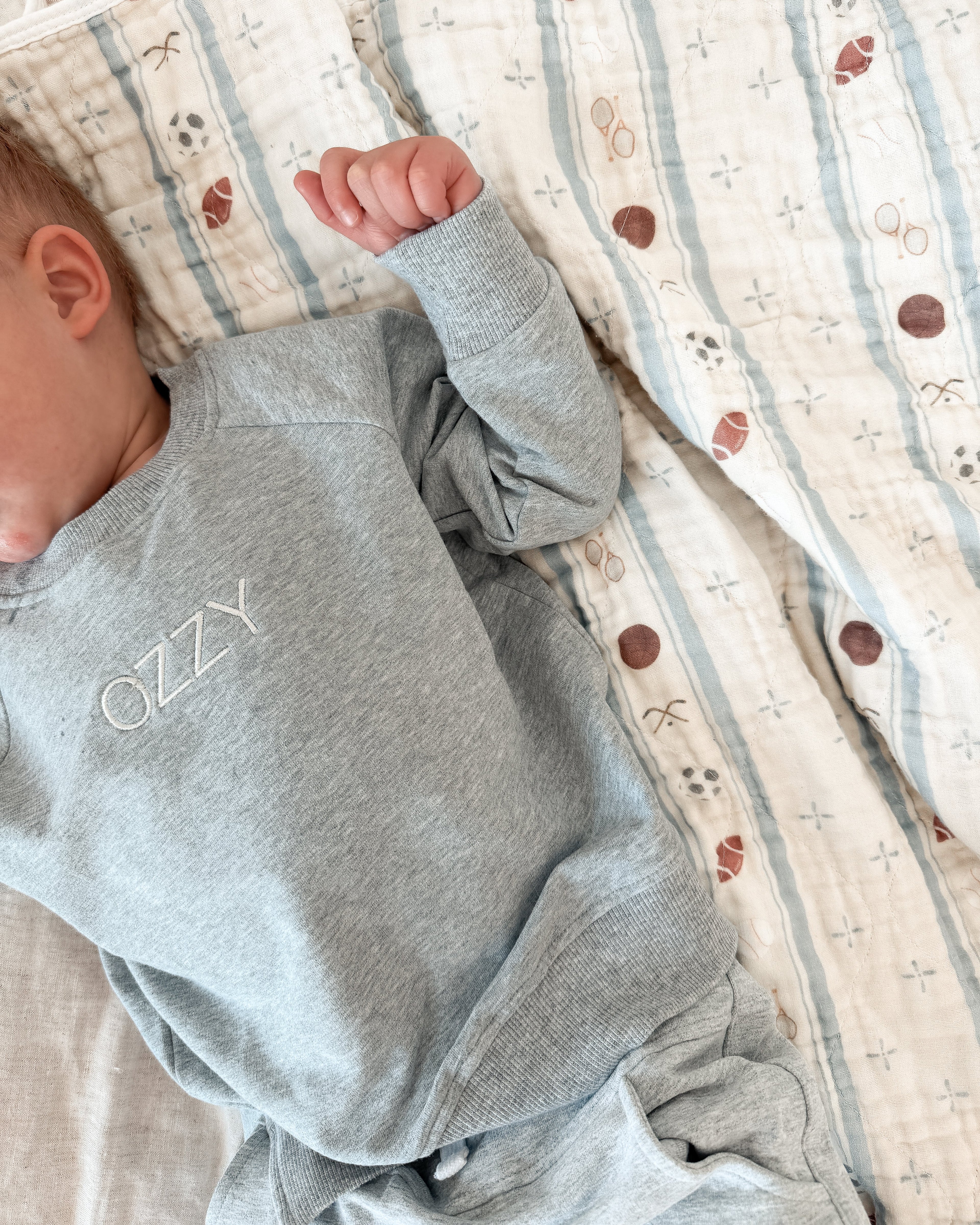 Pullover Sweatshirt - Dove